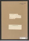 Actinocyclus subtilis (Greg.) Ralfs. (de-Toni-Nr.: Genus 195, Species 4786) Zeichnungen Sammlung Grunow Nr. 8425 (NHMW-BOT-W0377872)
